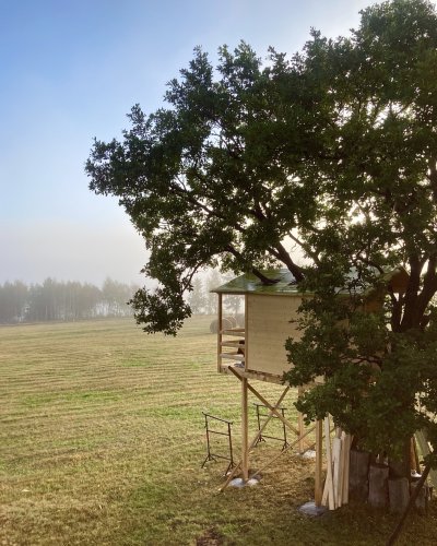 Ein Baumhaus entsteht