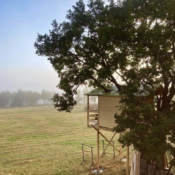 Ein Baumhaus entsteht