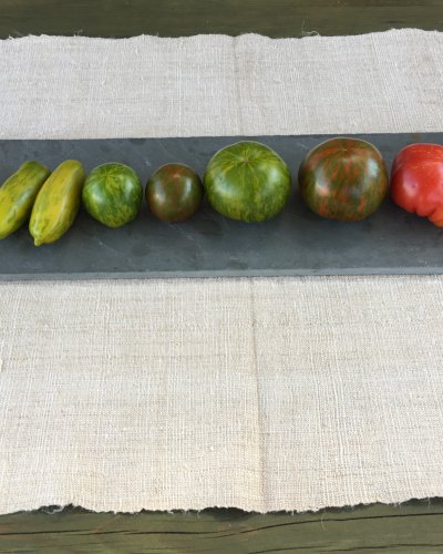 Tomaten-Vielfalt